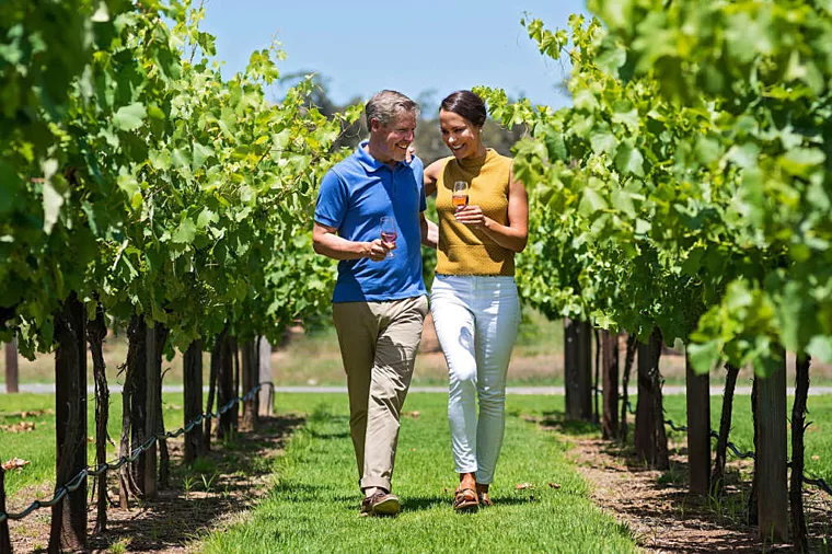 Couple wine tasting vineyards jacobs creek barossa south australia