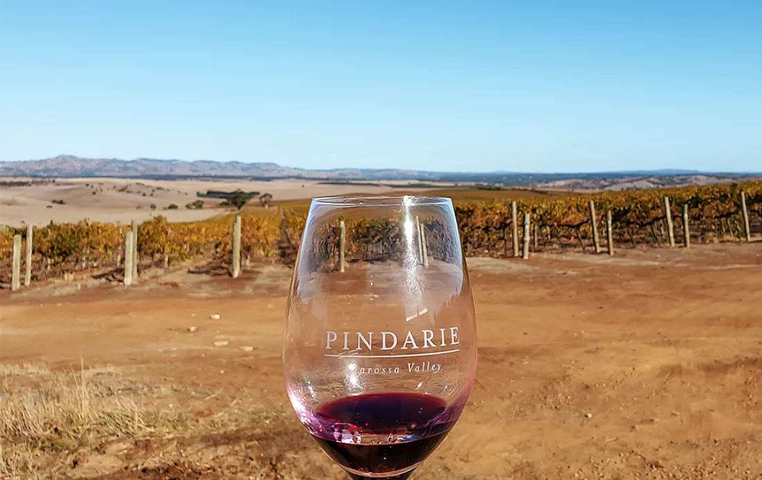 Pindarie wine