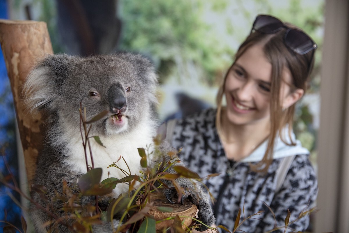 Caversham Wildlife Park