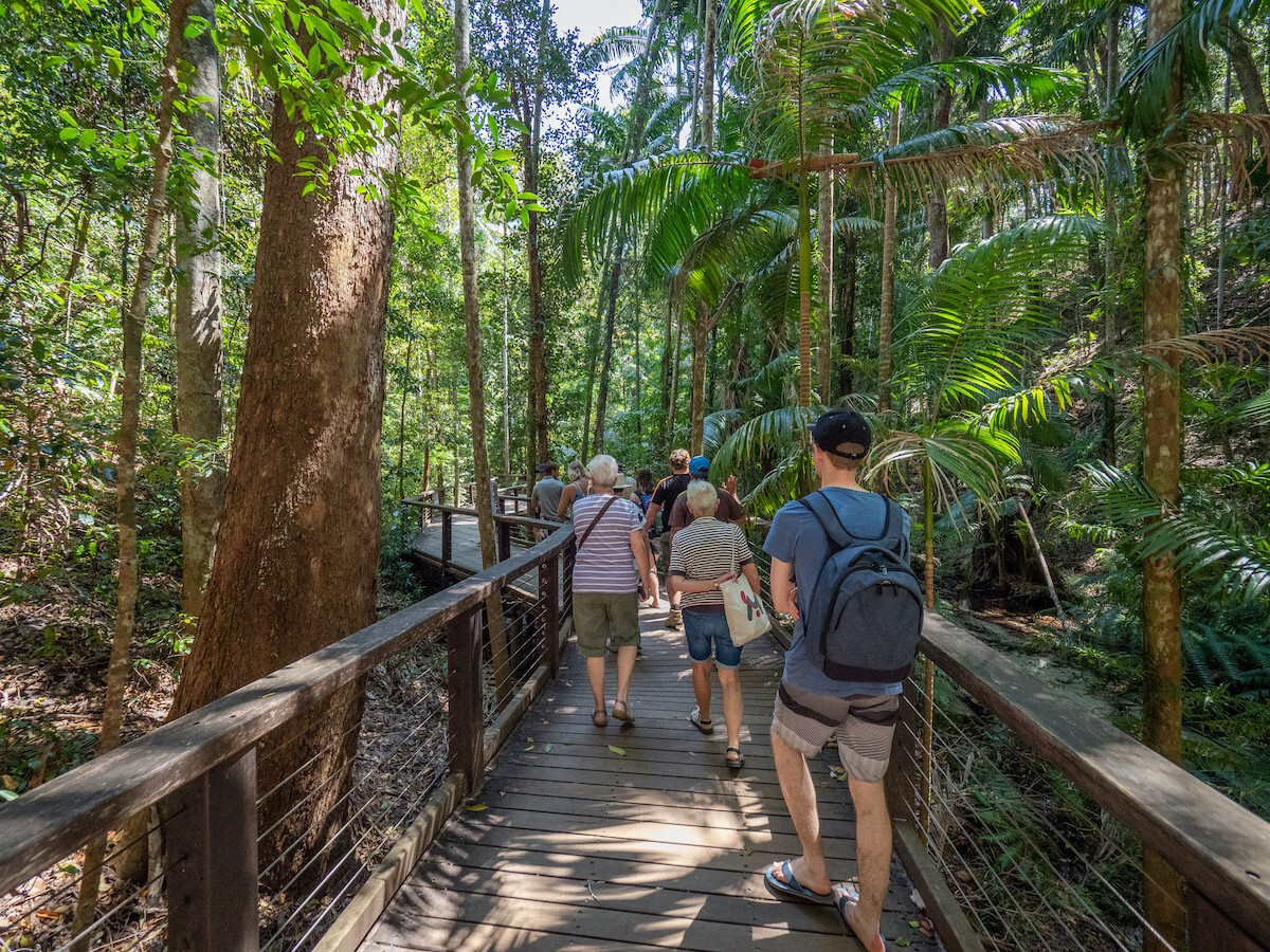Central Station rainforest