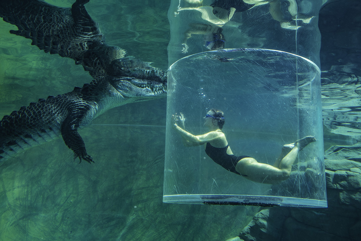 Crocosaurus Cove, Darwin