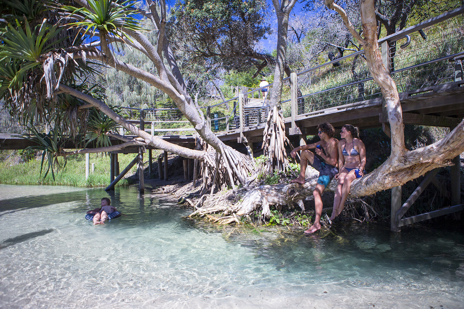 Eli Creek, K'gari (formerly Fraser Island)