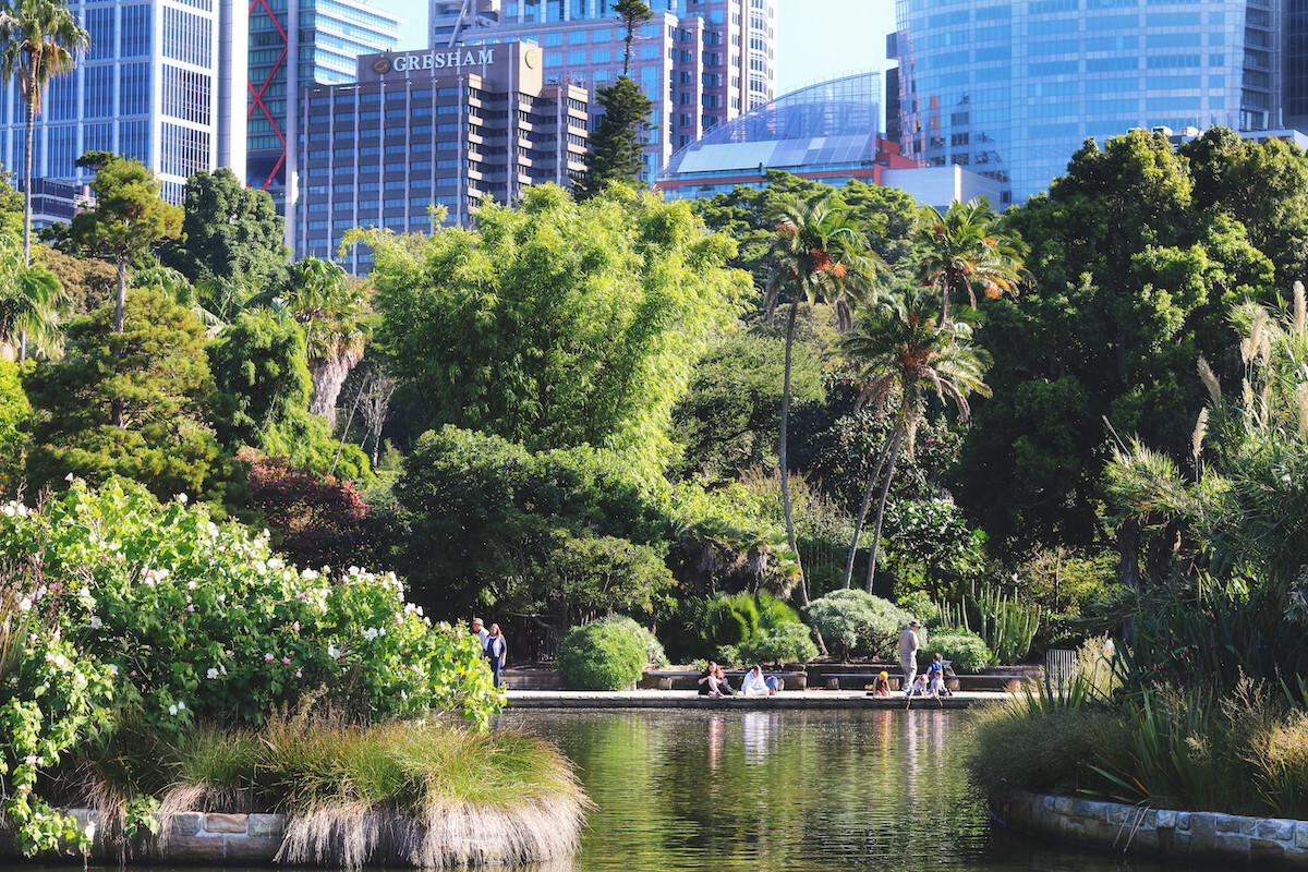 Sydney Botanic Gardens