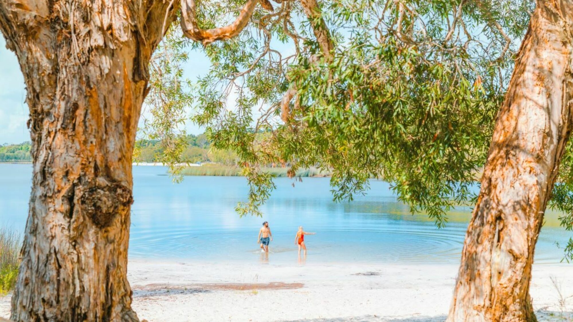 Straddie Brown Lake 04627