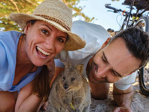 Rotto quokka