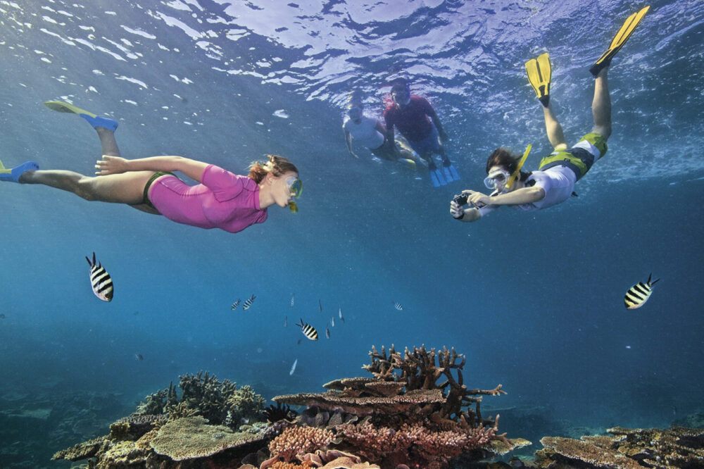 Townsville and Island Delight Brilliant Travels