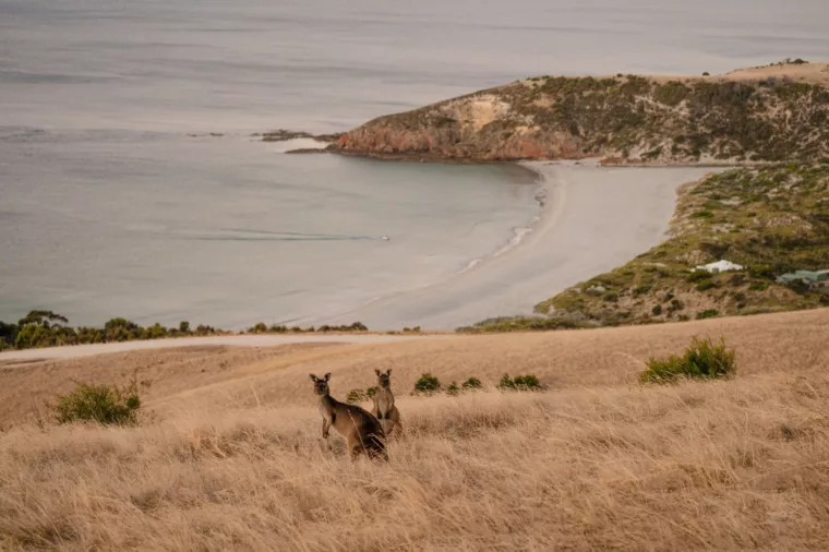 Kangaroo Island in winter