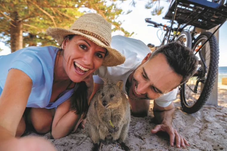 Quokka on Rottnest Island