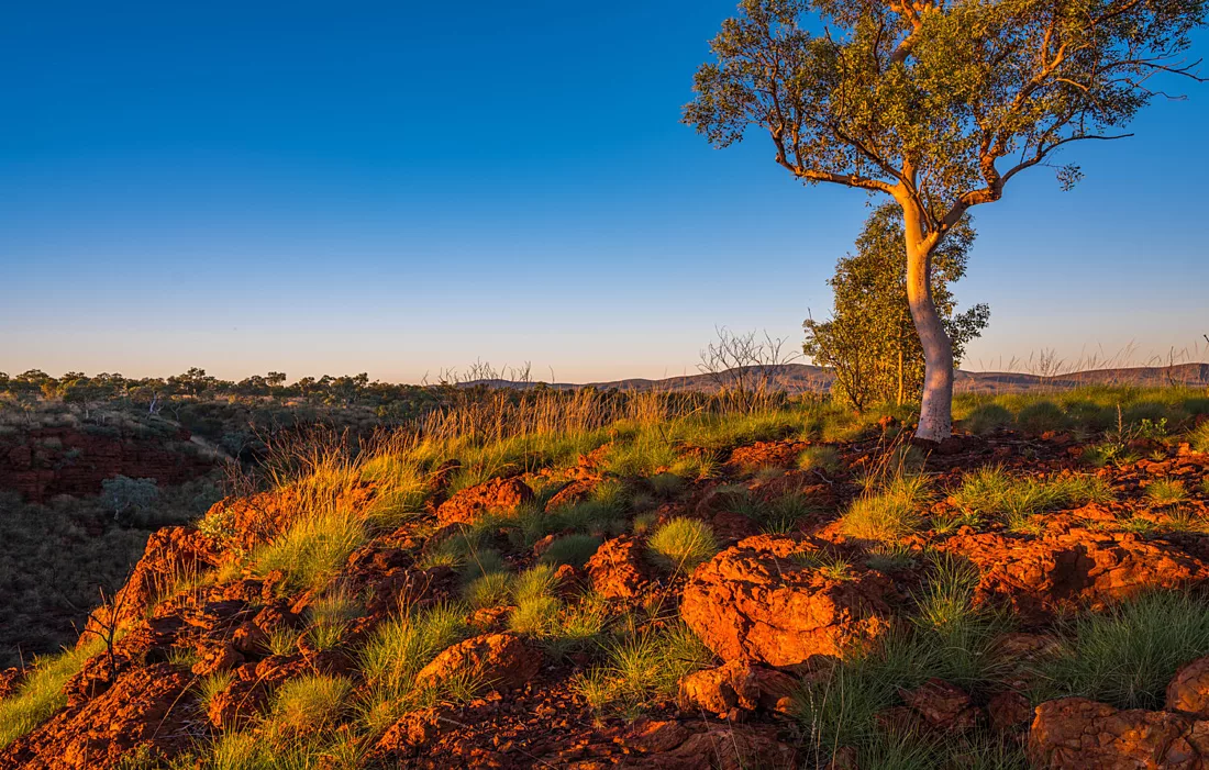 The Pilbara | Brilliant Travels