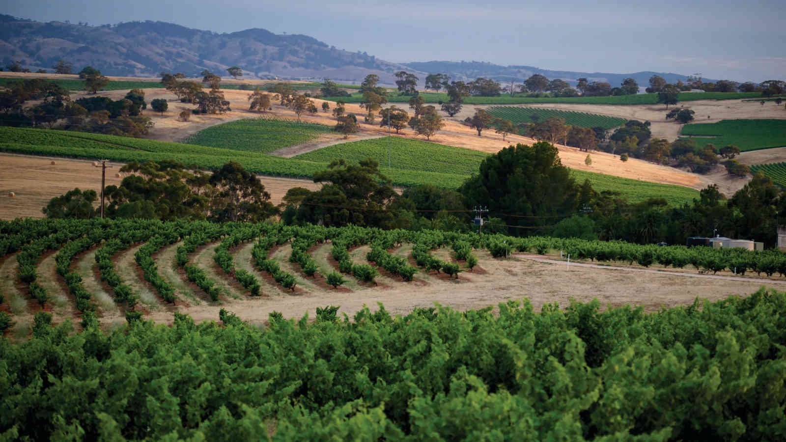 Adelaide Hills