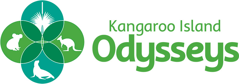 Logo ki odysseys landscape