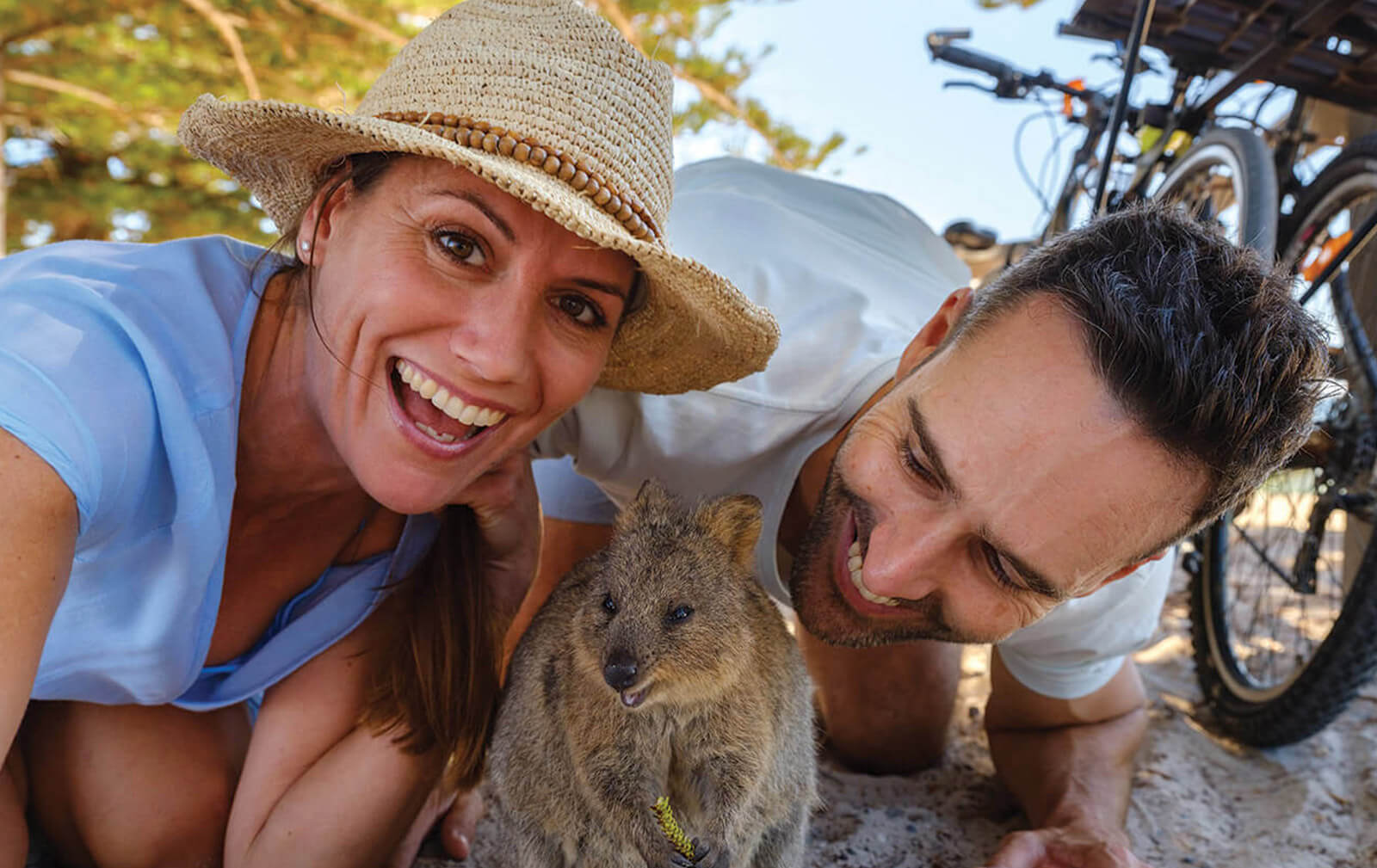 Snap a selfie with a Quokka