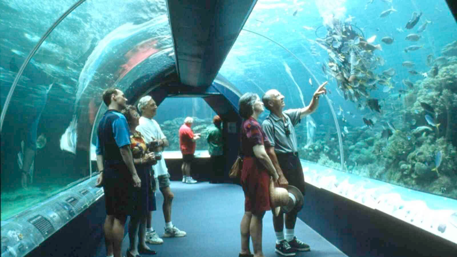 Townsville aquarium