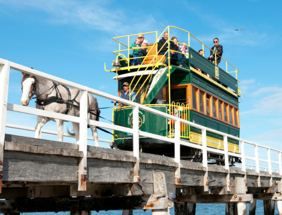Victor Harbour horse-drawn coach to Granite Island