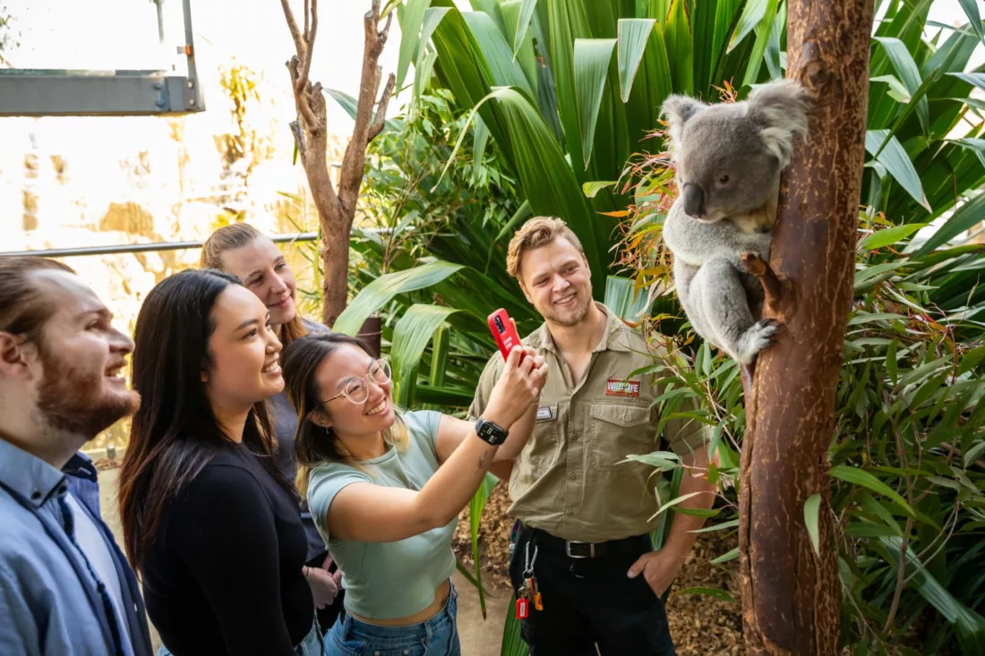 Wildlife Sydney Zoo ST