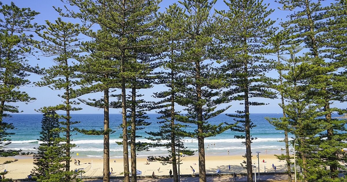 How to eat, drink, swim and be merry in Manly | Captain Cook Cruises ...