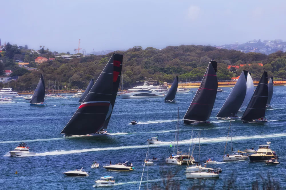 Sail Boxing Day 622601 St 5