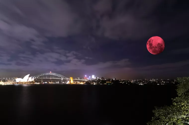 Sydney Harbour pink moon, night - stock