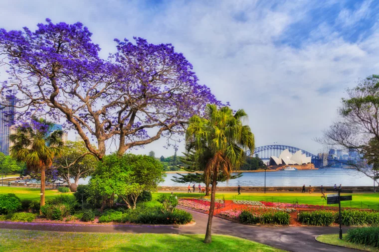 Botanic Gardens, views, 3483 ST