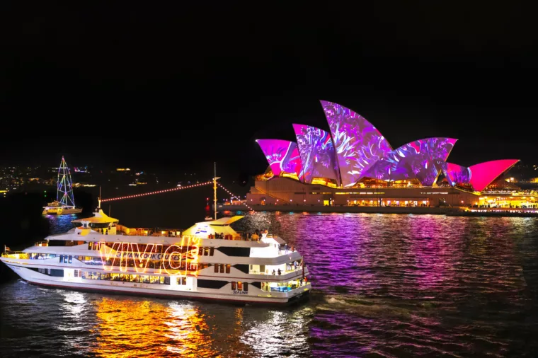 Vivid 22221111 st 7