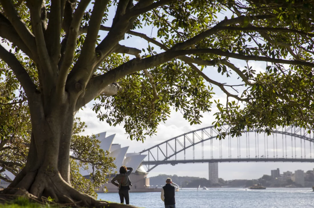 Couple enjoying views from Royal Botanical Gardens during summer sightseeing non-ccc dnsw