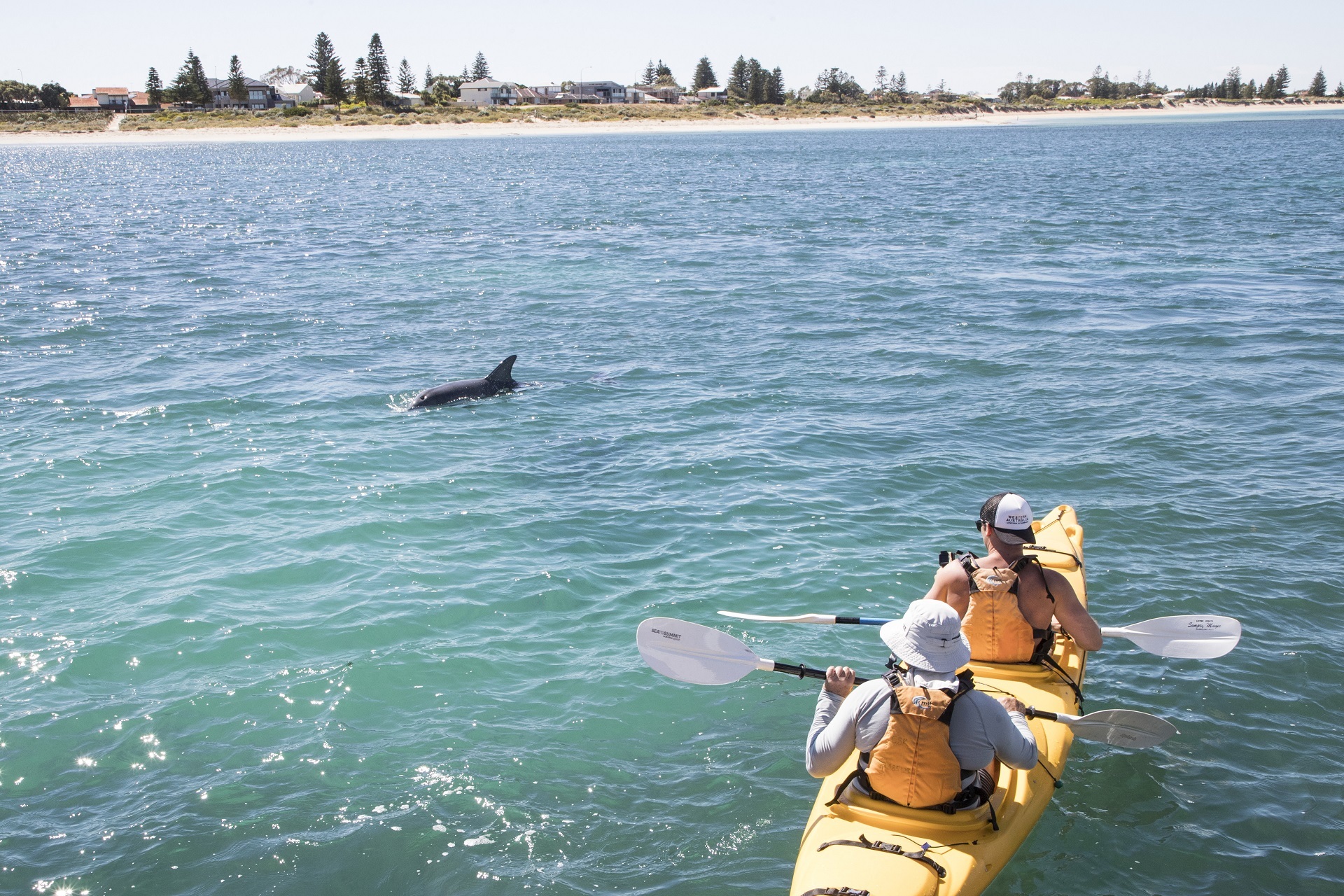 Shoalwater Islands Marine Park