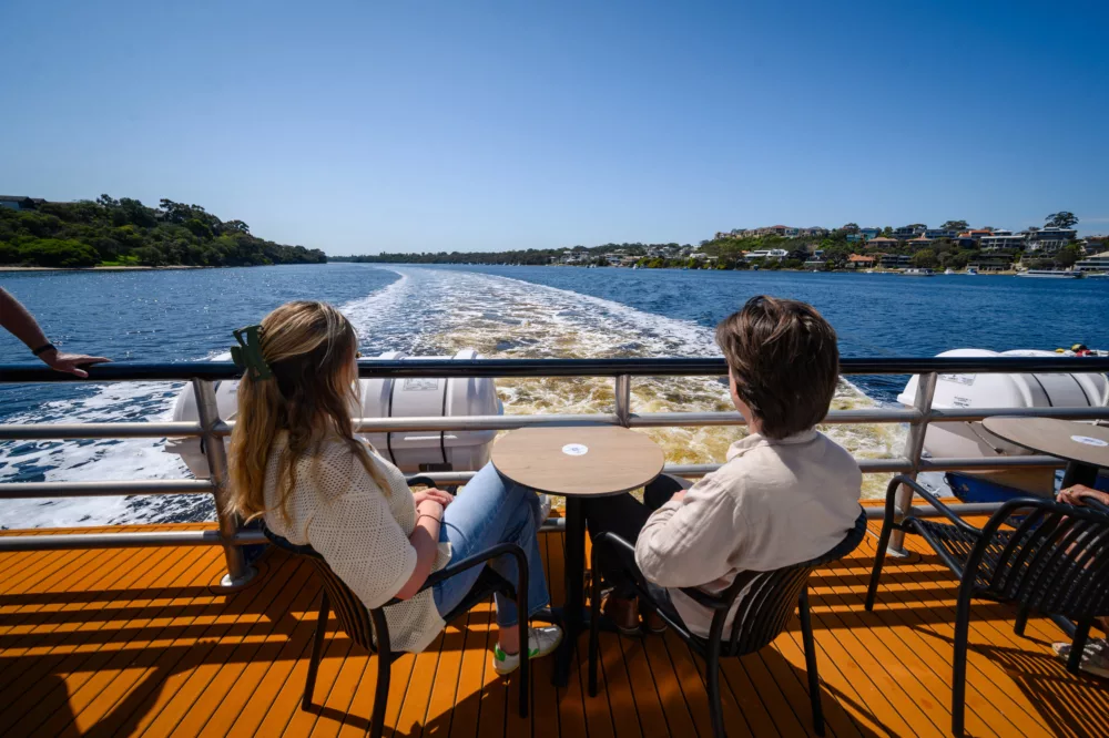 Admiring view on scenic cruise