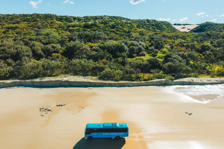 K'gari Explorer Tours coach cruising along 75 Mile Beach, K'gari (formerly Fraser Island)