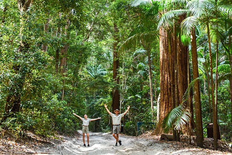 Pile Valley Rainforest, K'gari (formerly Fraser Island)