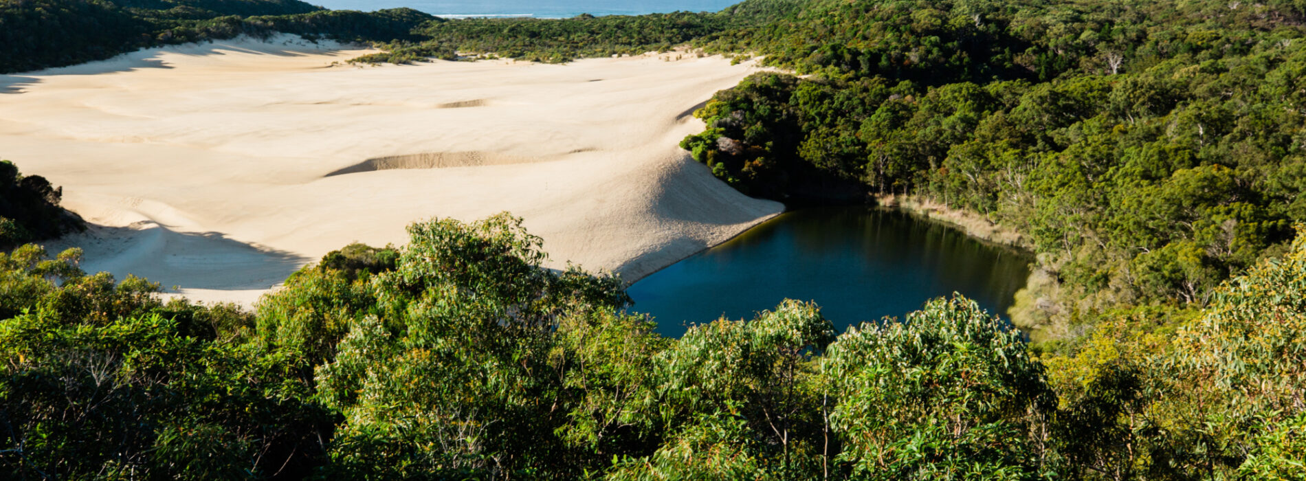 Lake Wabby, K'gari Fraser Island