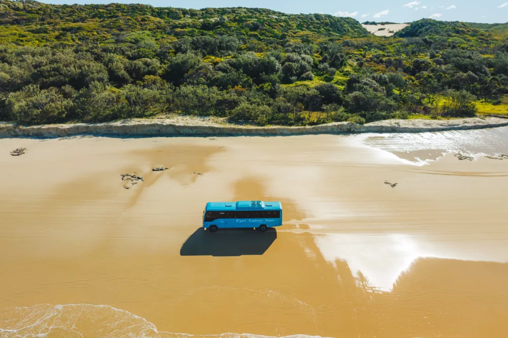 K'gari Explorer Tours bus driving on 75 Mile Beach, K'gari (Fraser Island)