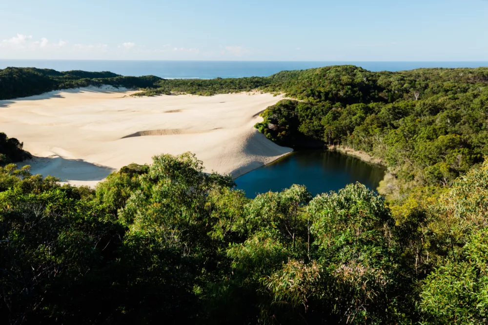 Lookout at Lake Wabby, views of sand dunes, lakes & ocean, K'gari (Fraser Island)