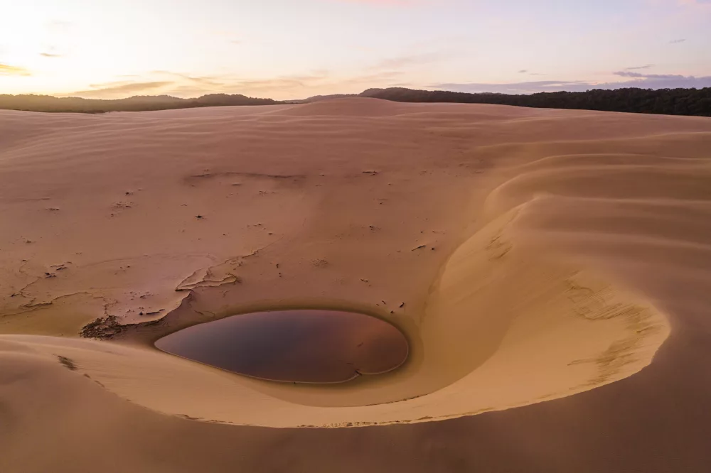 Sand dunes, K'gari (Fraser Island)