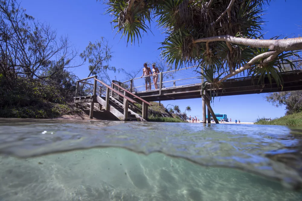 Couple at Eli Creek, K'gari (Fraser Island)
