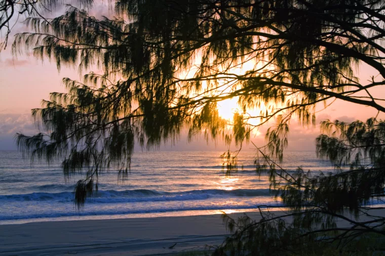 Sunrise on the beach, K'gari (Fraser Island)