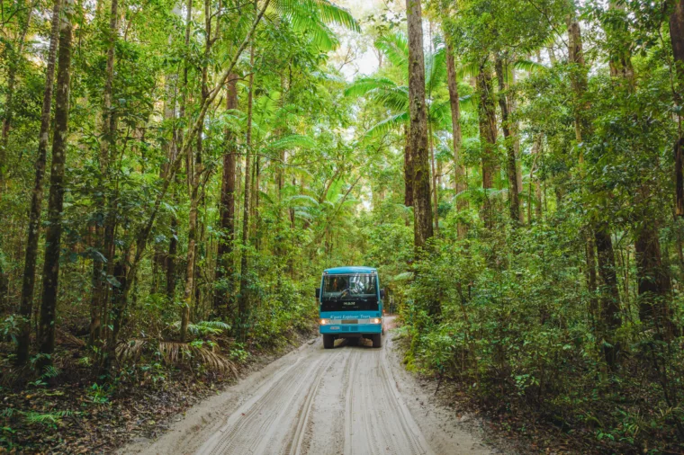 K'gari Explorer Tours bus driving through rainforest, K'gari (Fraser Island)