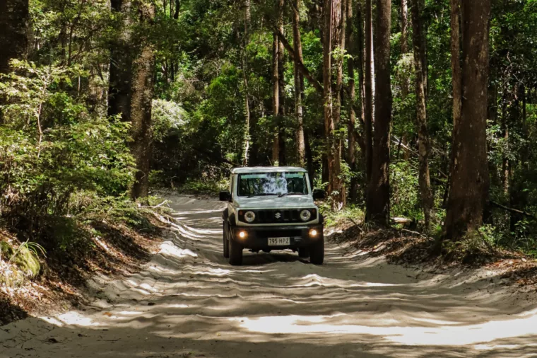 4WD driving through rainforest on K'gari (Fraser Island)