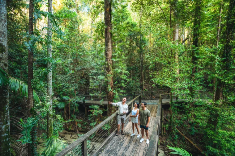 K'gari Explorer Tours, tour guide with couple at Wanggoolba Creek, K'gari (Fraser Island)