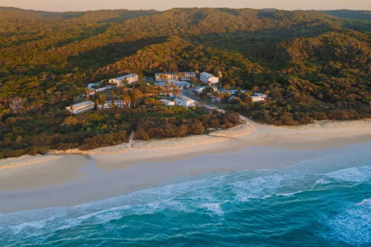 Craft Website Banner