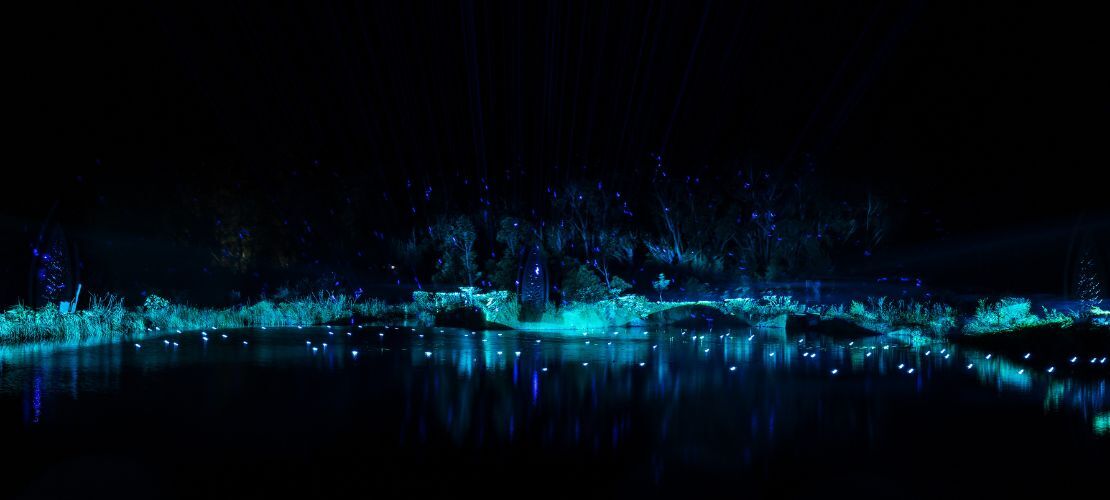 Illumina Light Show