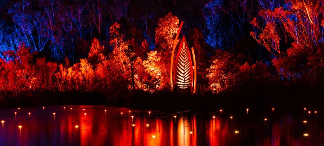 Illumina Light Show on K'gari (Fraser Island)