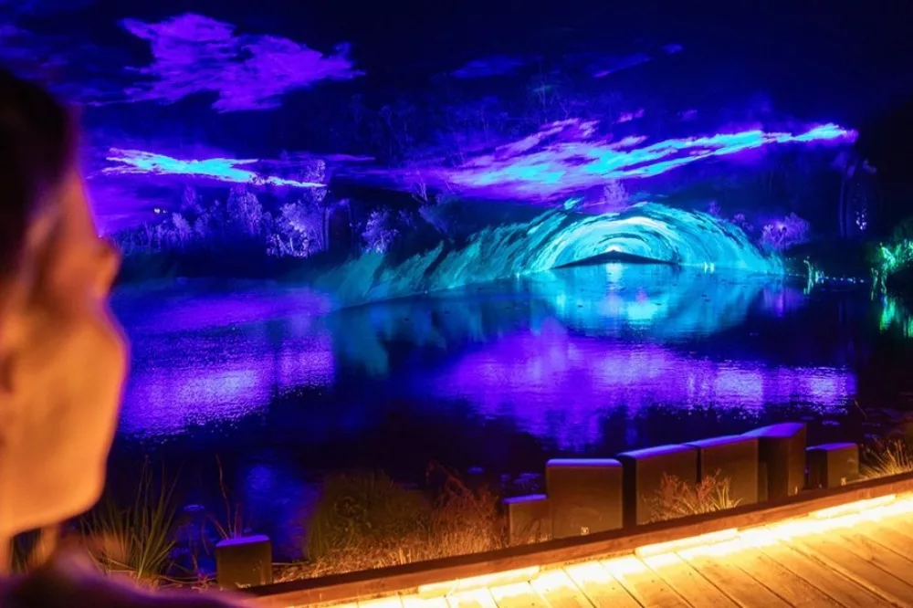 Illumina light show Kingfisher Bay Resort