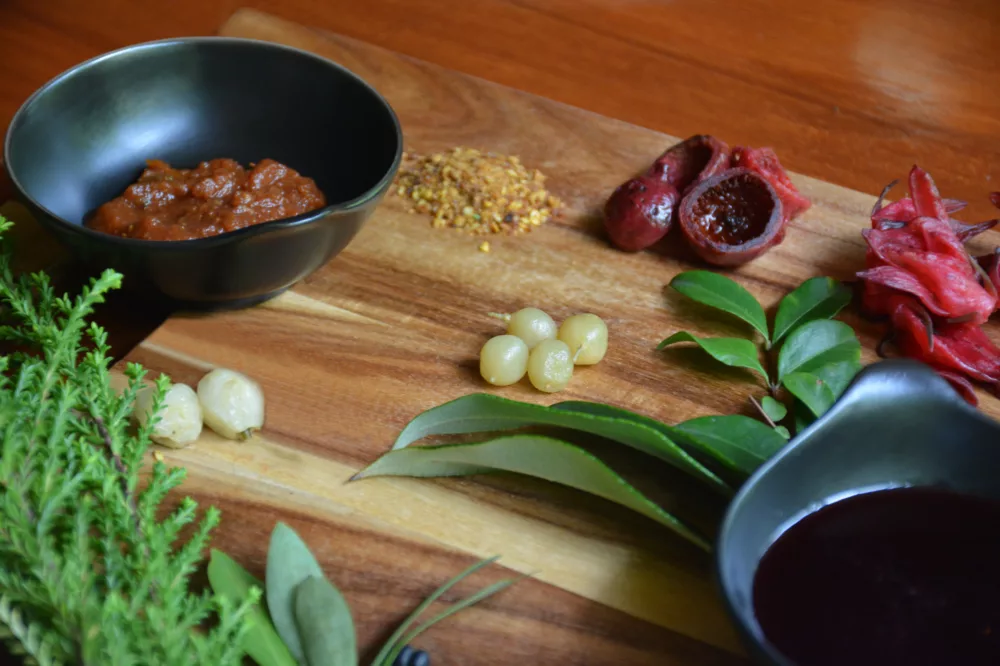 Bush Tucker Talk & Taste at Kingfisher Bay Resort