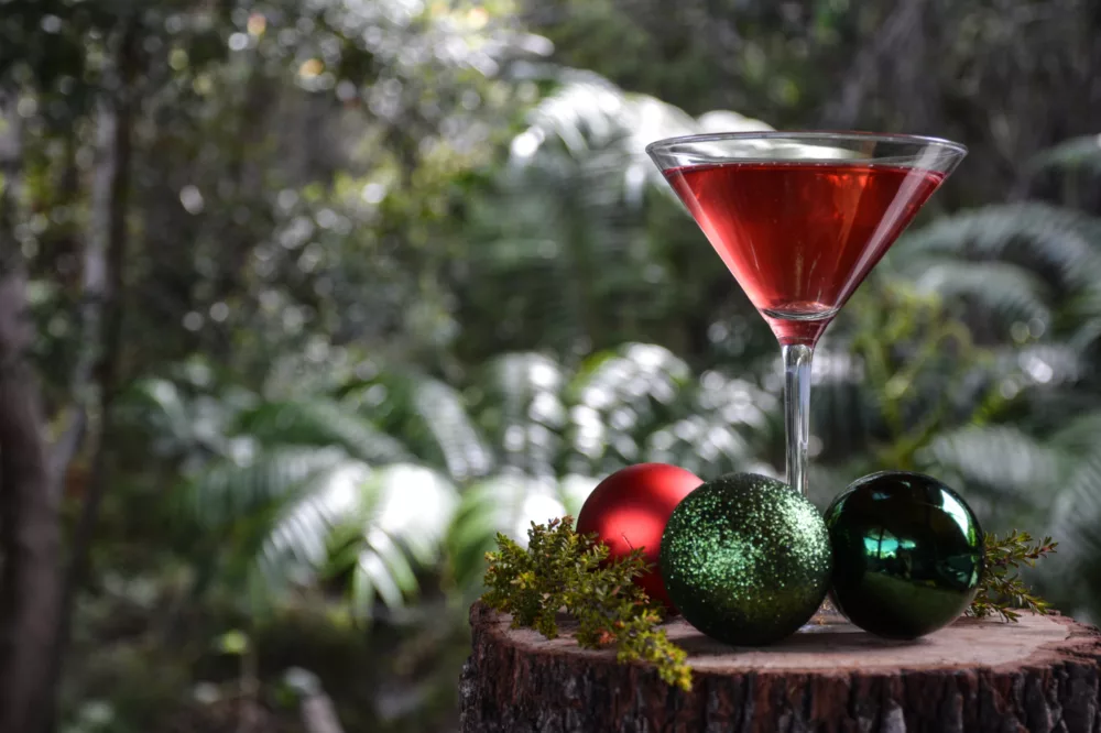 Christmas cocktails at Kingfisher Bay Resort
