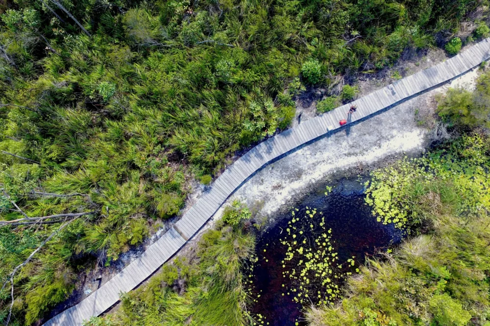 Kingfisher Bay Resort Wallum Boardwalk