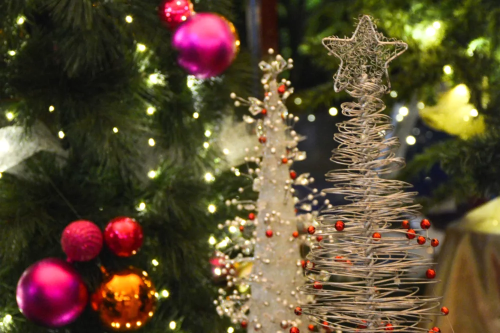 K Gari Kingfisher Christmas Atrium Lauren Fenn Walton 2019 1