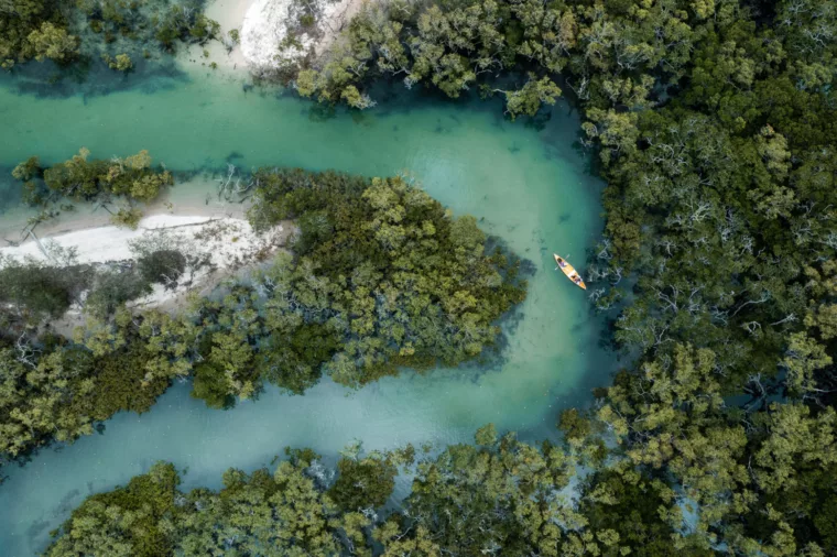 Kayak Tour at Dundonga Creek, Kingfisher Bay Resort K'gari (Fraser Island)