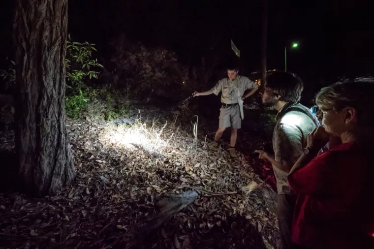 Ranger guided night walk at Kingfisher Bay Resort, K'gari (Fraser Island)