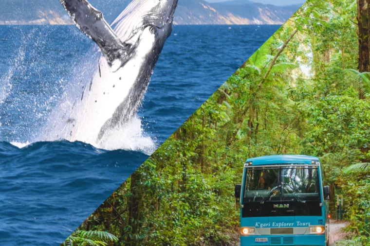 Whales Tour Kgari Package