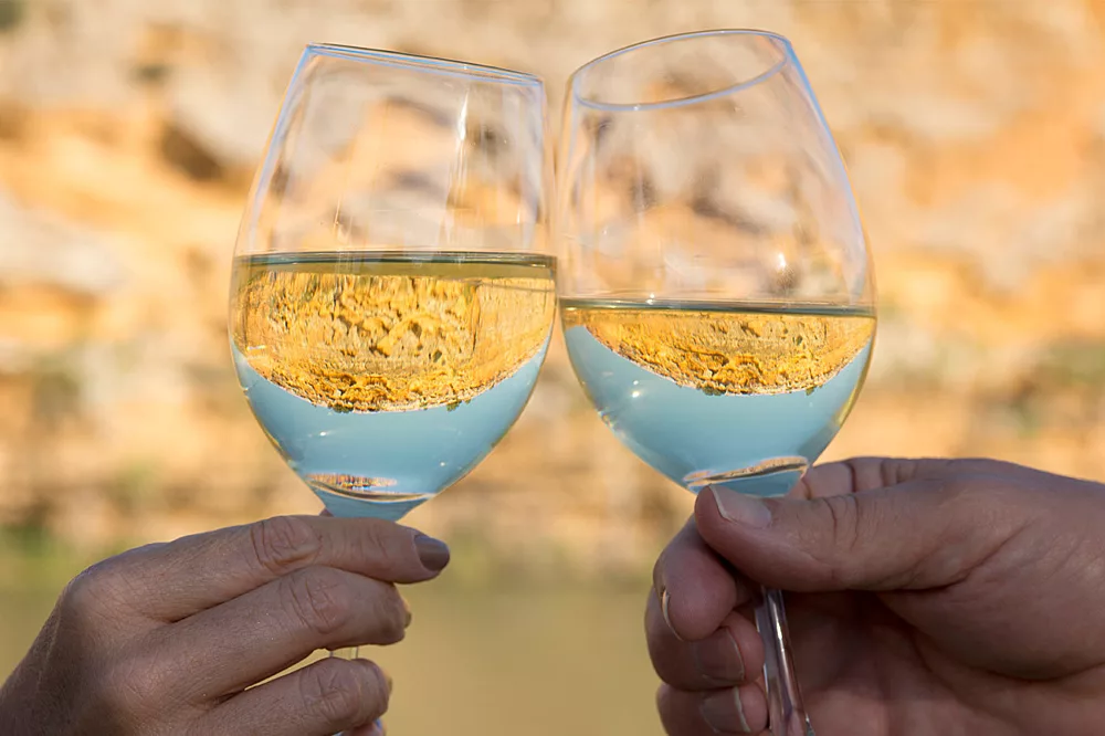 Murray princess wine cheers